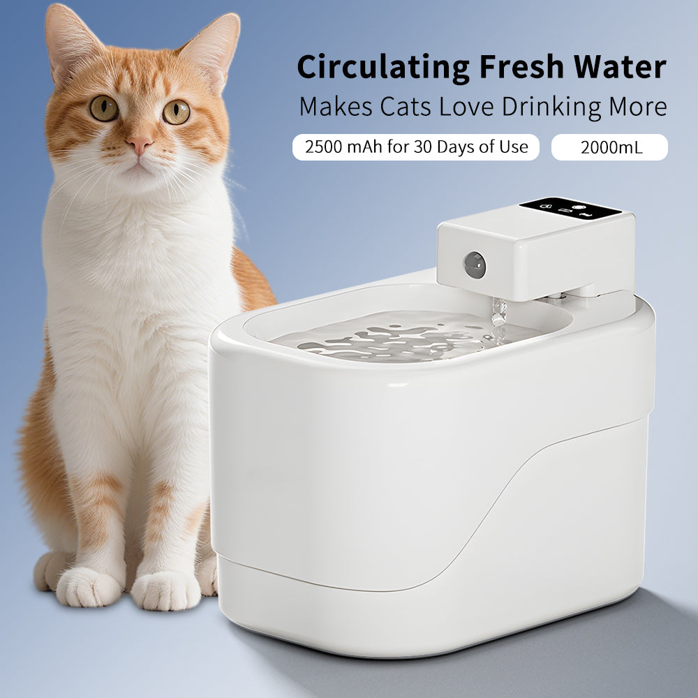 Smart Sensor Pet Water Fountain 2000ML, USB Charging, Ultra Quiet - Main Product Image