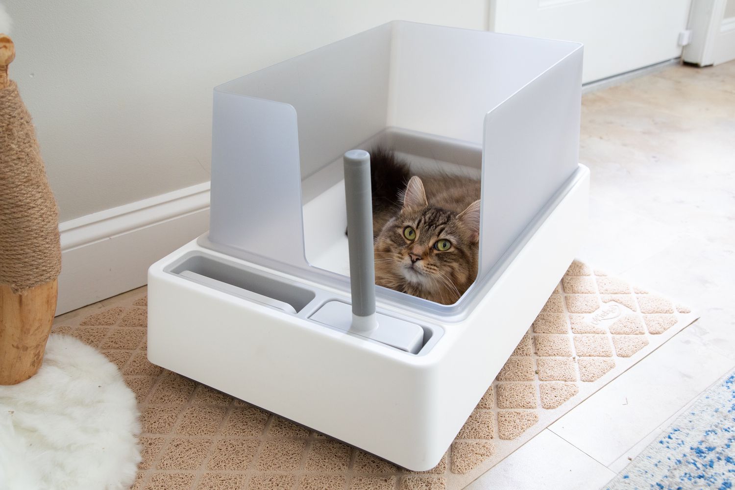 Cat Litter Boxes