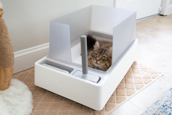 Cat Litter Boxes