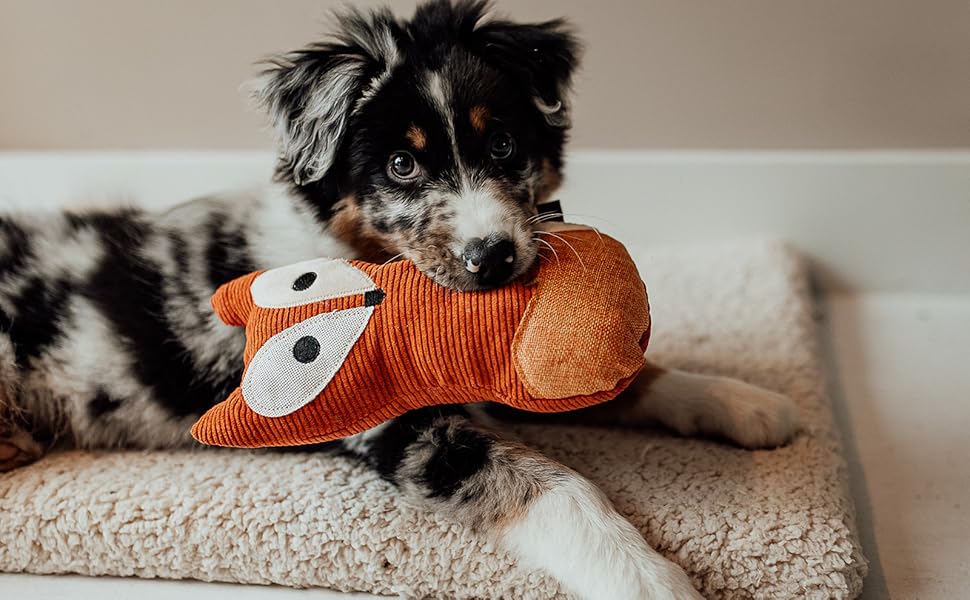 Dog Toys