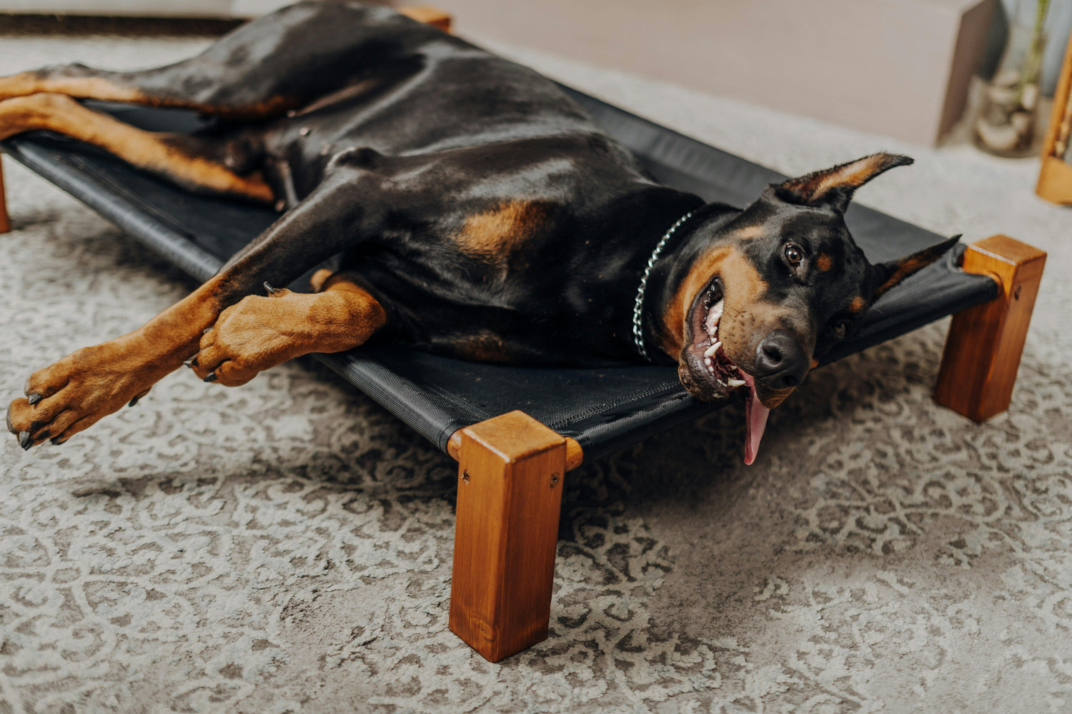 Pet Beds