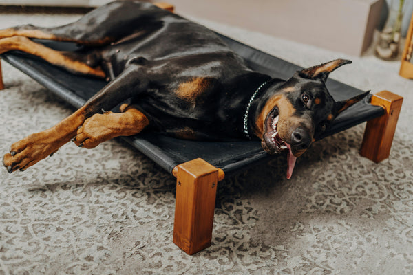 Pet Beds