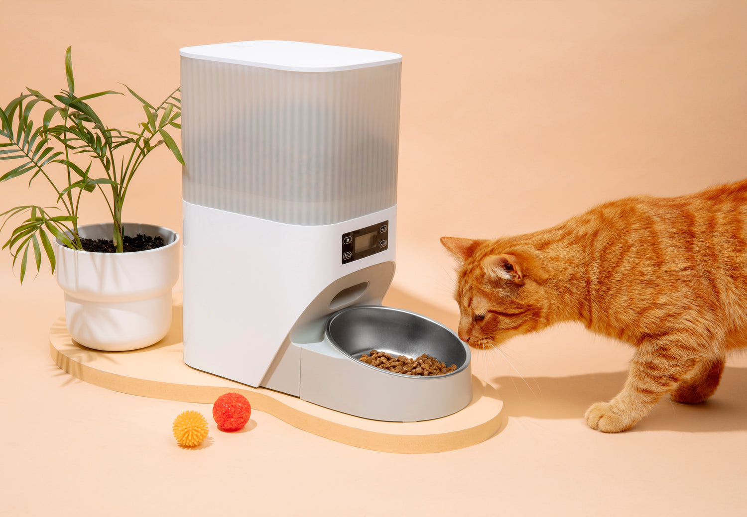 Pet Bowls & Feeders