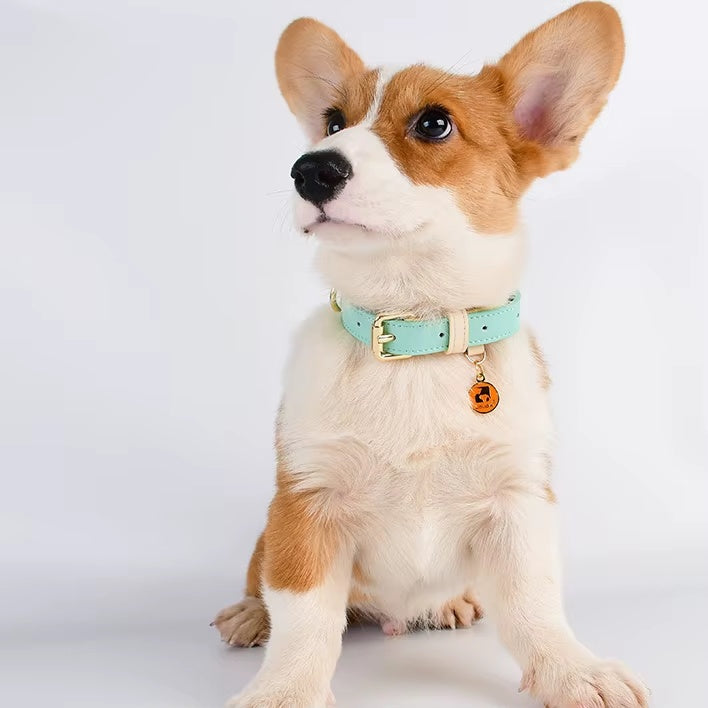 Leather Dog Collar, Adjustable, for Small, Medium, and Large Dogs - Features and Details