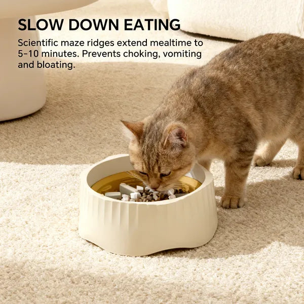 Dual Mode Cat Slow Feeder Bowl, Switchable Fast and Slow Feed - Size Reference