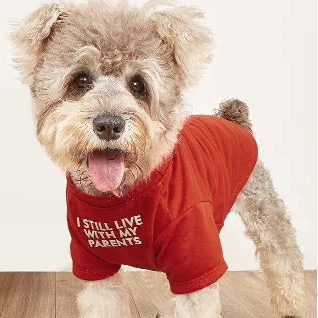Classic Round Neck Pet T Shirt, Soft Cotton Tee for Dogs and Cats - Detailed View