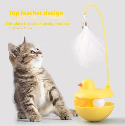 Interactive Duck Cat Toy, Removable and Washable, for Indoor and Outdoor Play - Features and Details