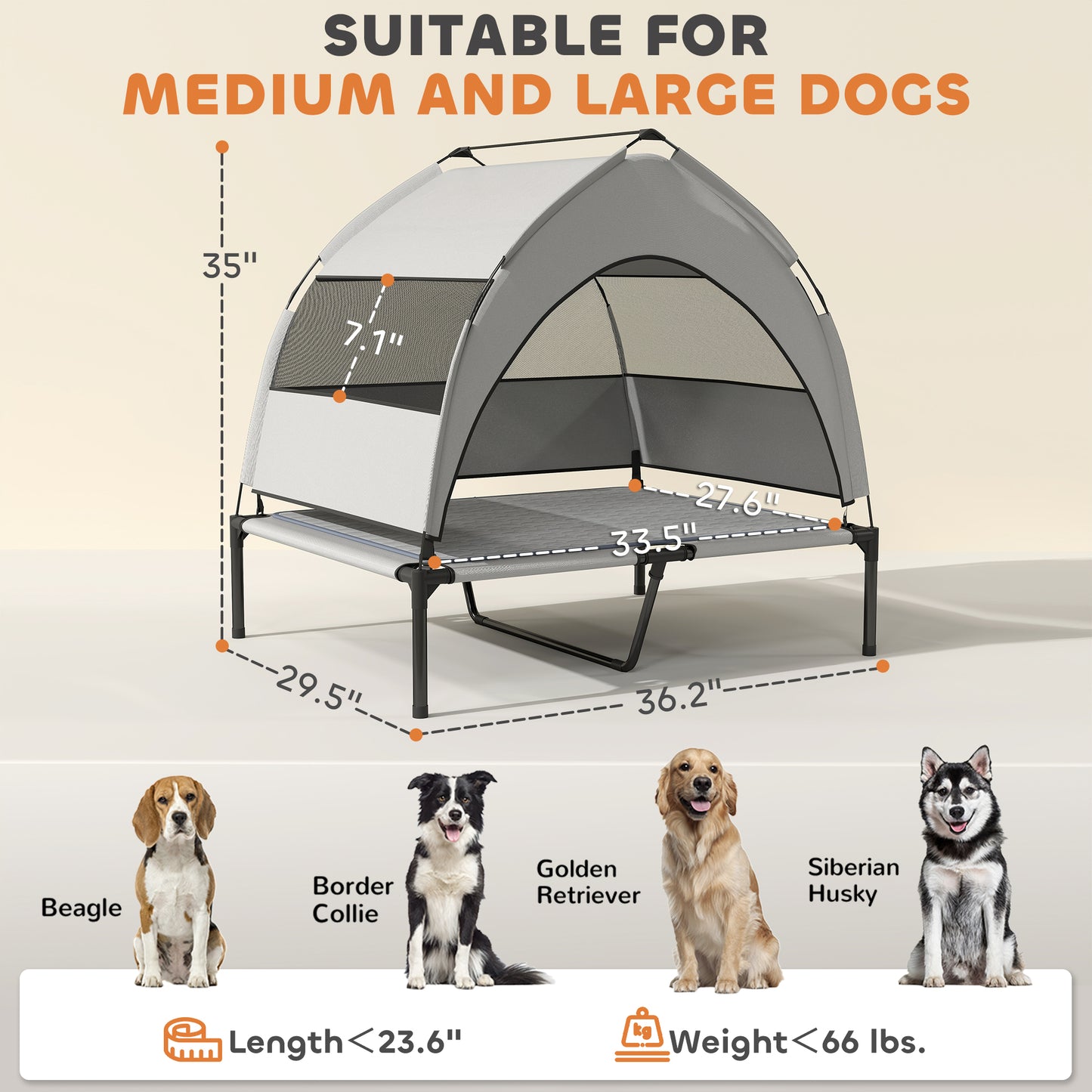Elevated Dog Bed with Removable Canopy, Cooling Pad and Storage Bag - Features and Details