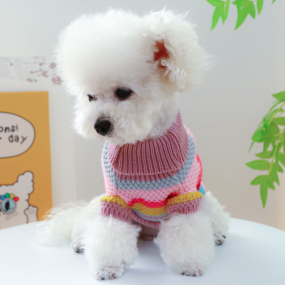 Colorful Striped Pet Sweater, Warm Knit Pullover for Dogs and Cats - Detailed View