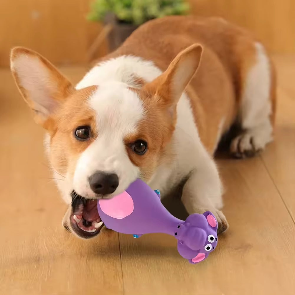 Cute Latex Dog Chew Toys 4 Pack with Sound, Dental Health Interactive - Side Angle