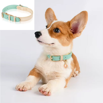 Leather Dog Collar, Adjustable, for Small, Medium, and Large Dogs - Main Product Image