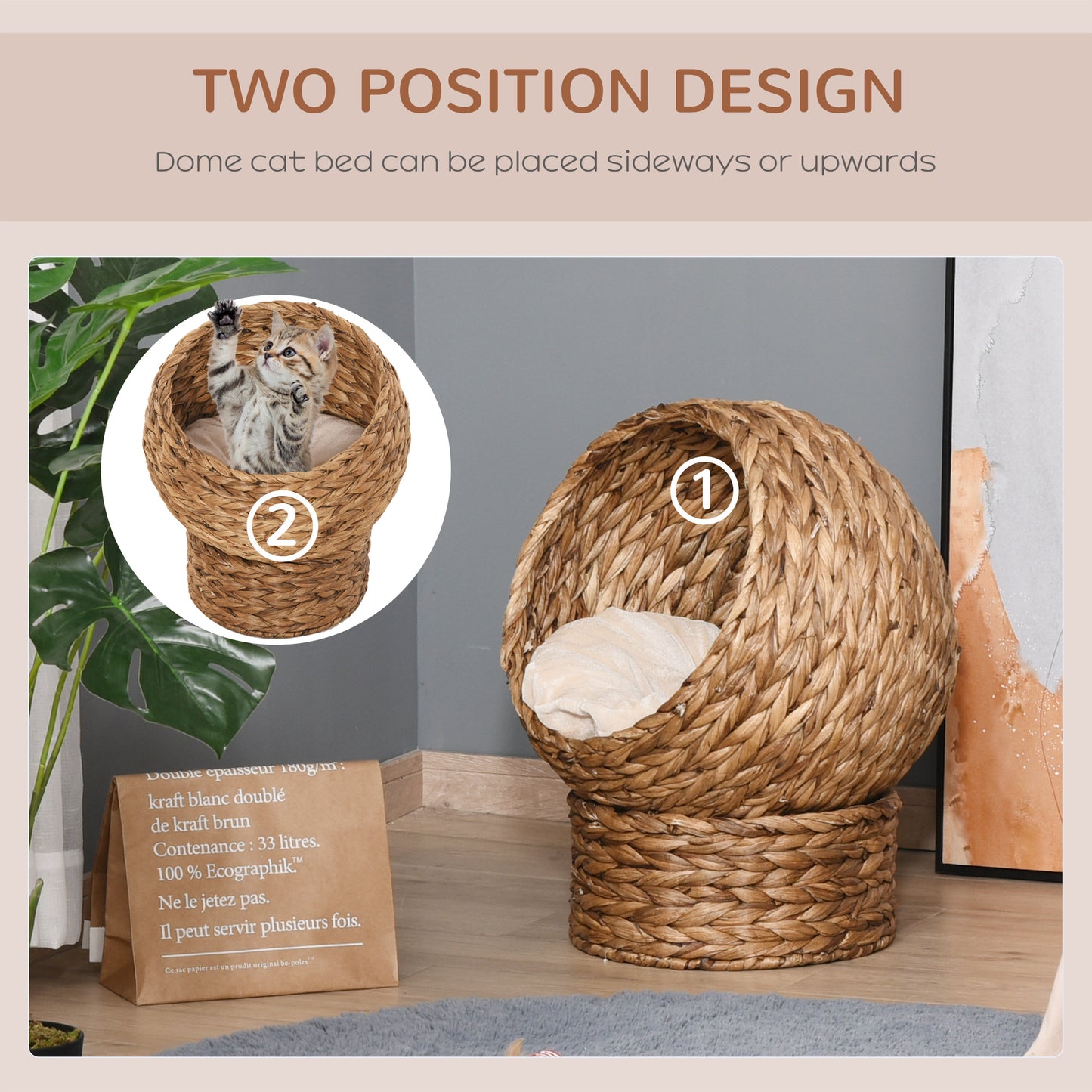 Handwoven Elevated Cat Bed, Egg Chair Shape with Soft Cushion and Stand - Features and Details