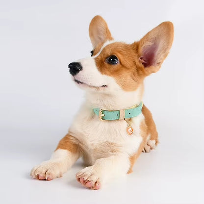 Leather Dog Collar, Adjustable, for Small, Medium, and Large Dogs - Side Angle