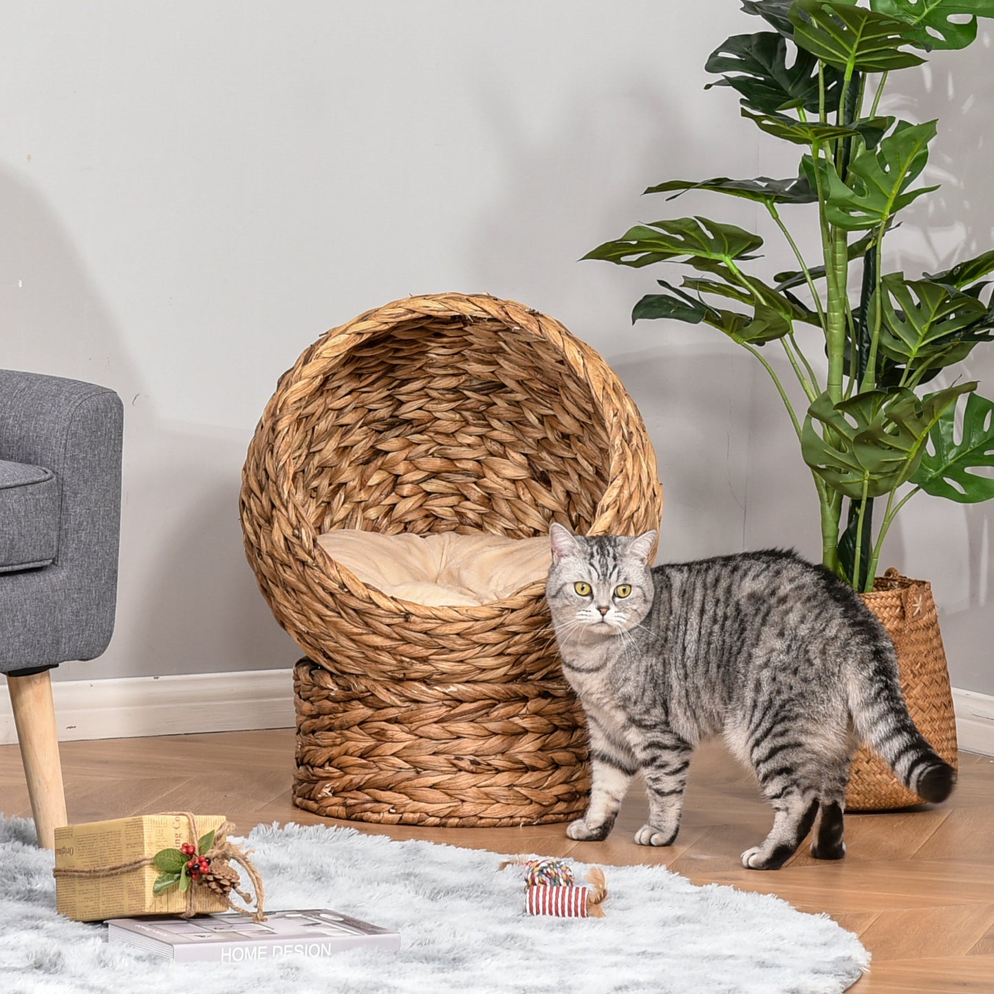 Handwoven Elevated Cat Bed, Egg Chair Shape with Soft Cushion and Stand - Main Product Image