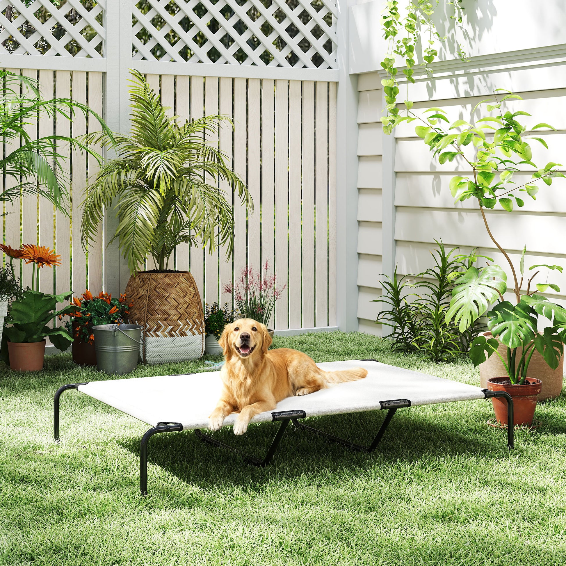 Elevated Dog Bed for Large Breeds, 60 Inch, Beige - Side Angle