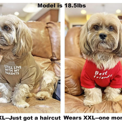 Classic Round Neck Pet T Shirt, Soft Cotton Tee for Dogs and Cats - Side Angle