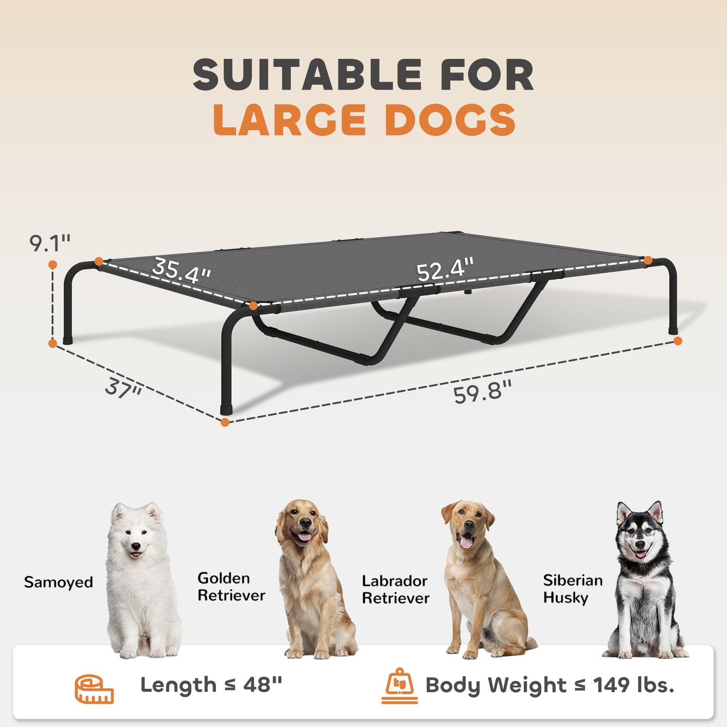 Elevated Dog Bed for Large Breeds, 60 Inch, Gray - Features and Details