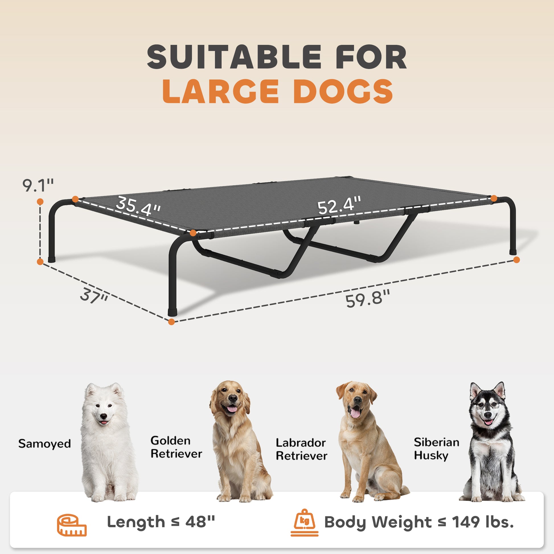 Elevated Dog Bed for Large Breeds, 60 Inch, Gray - Features and Details