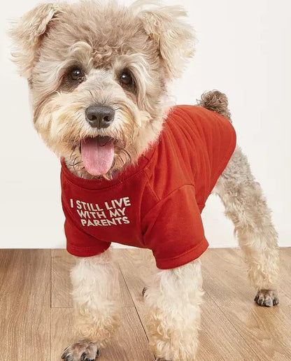 Classic Round Neck Pet T Shirt, Soft Cotton Tee for Dogs and Cats - Image 8 of 8