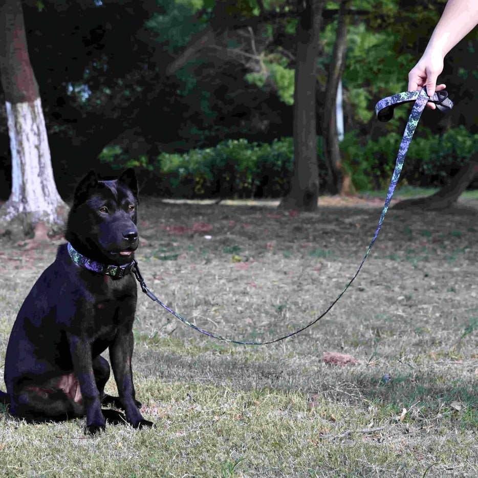 UV Printed Dog Leash and Collar Set, Waterproof PVC, for Small Dogs - Main Product Image