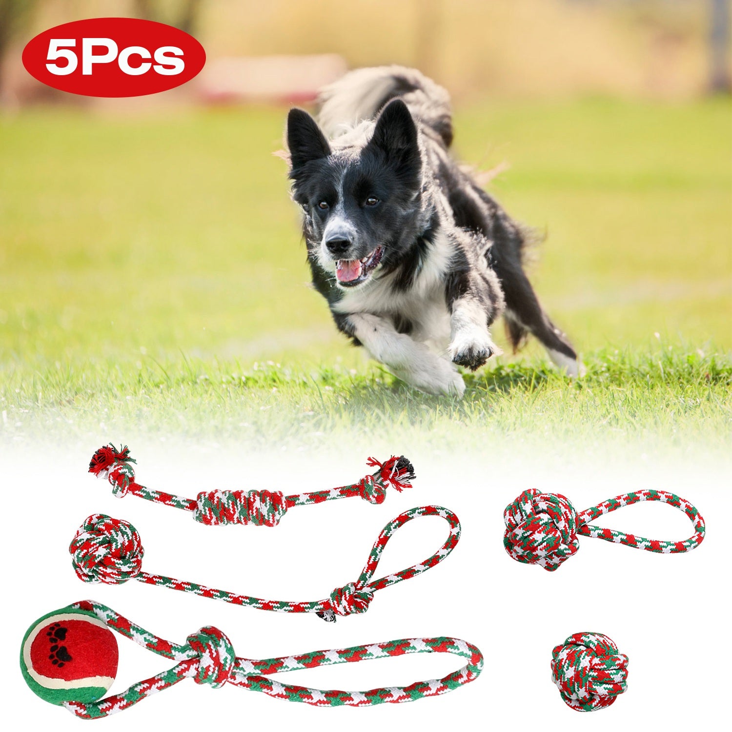Christmas Dog Rope Toys 5 Piece Set for Chewing and Tug of War - Image 8 of 10