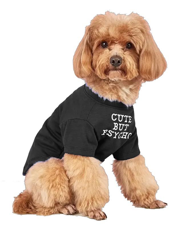 Classic Round Neck Pet T Shirt, Soft Cotton Tee for Dogs and Cats - Image 6 of 8