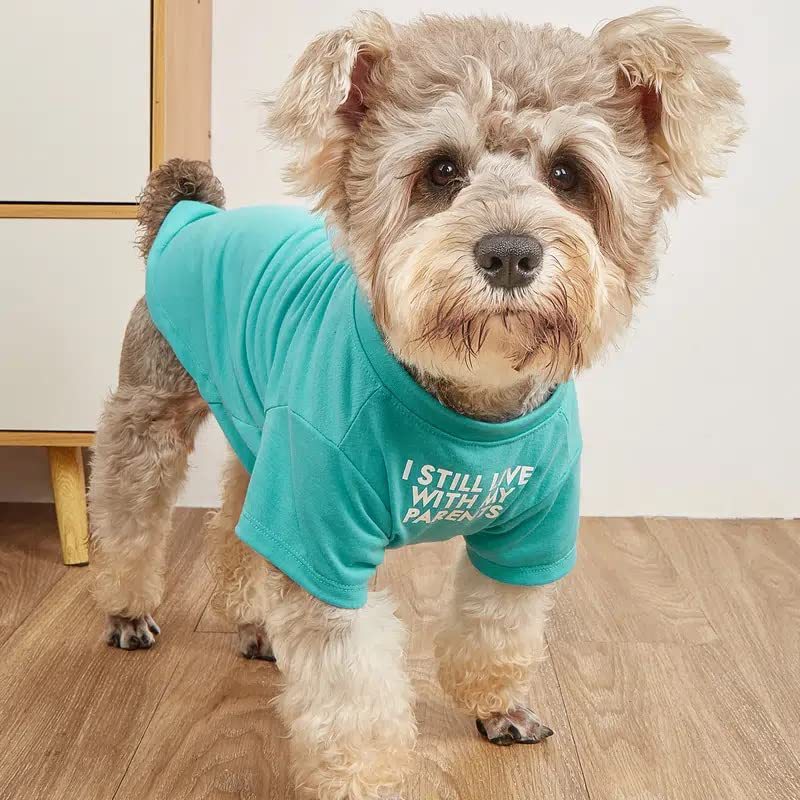 Classic Round Neck Pet T Shirt, Soft Cotton Tee for Dogs and Cats - Image 7 of 8