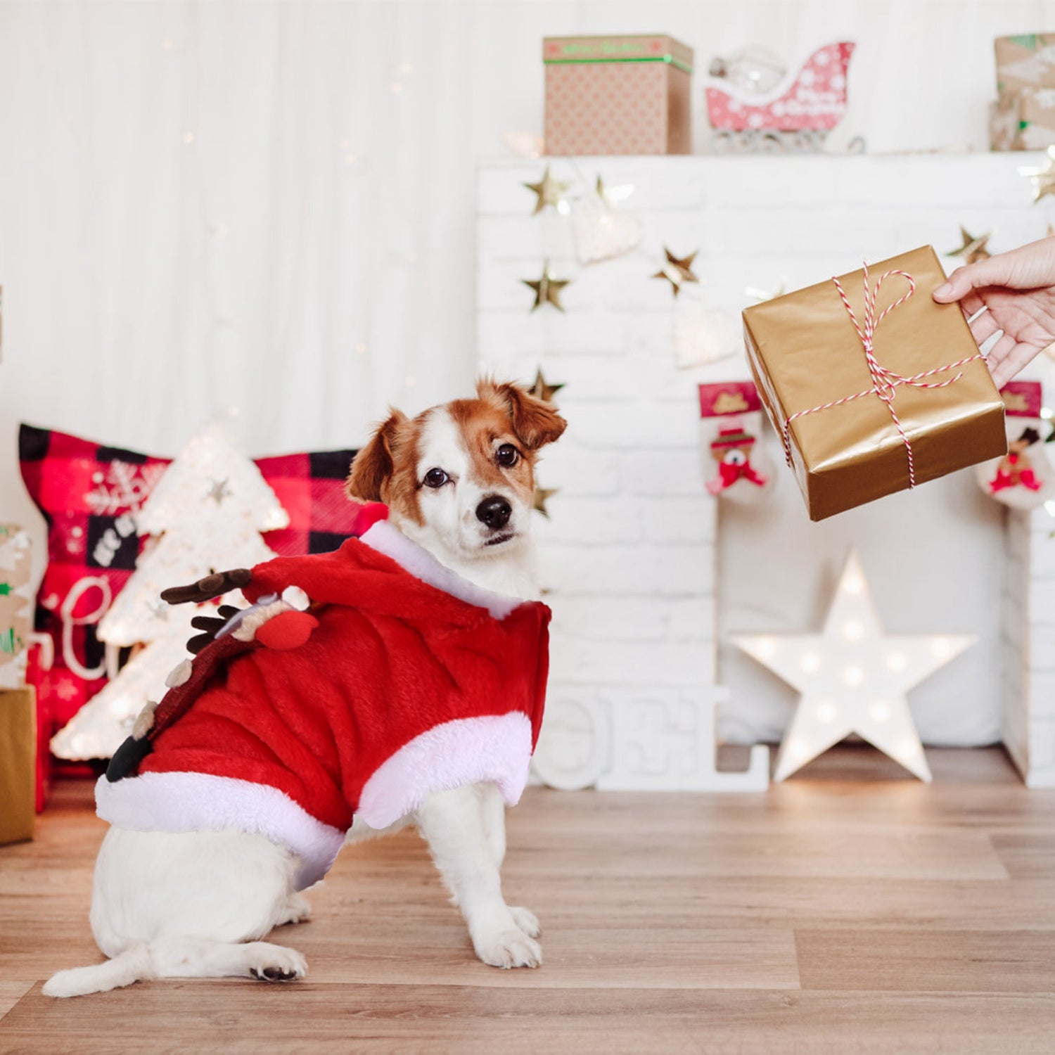 Pet Christmas Costume, Santa Claus Reindeer Outfit for Small and Medium Dogs and Cats - Features and Details