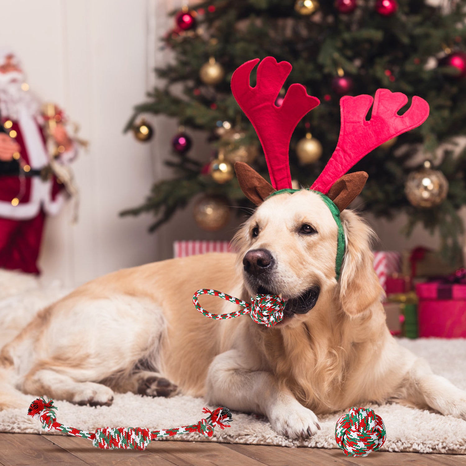 Christmas Dog Rope Toys 5 Piece Set for Chewing and Tug of War - Image 7 of 10