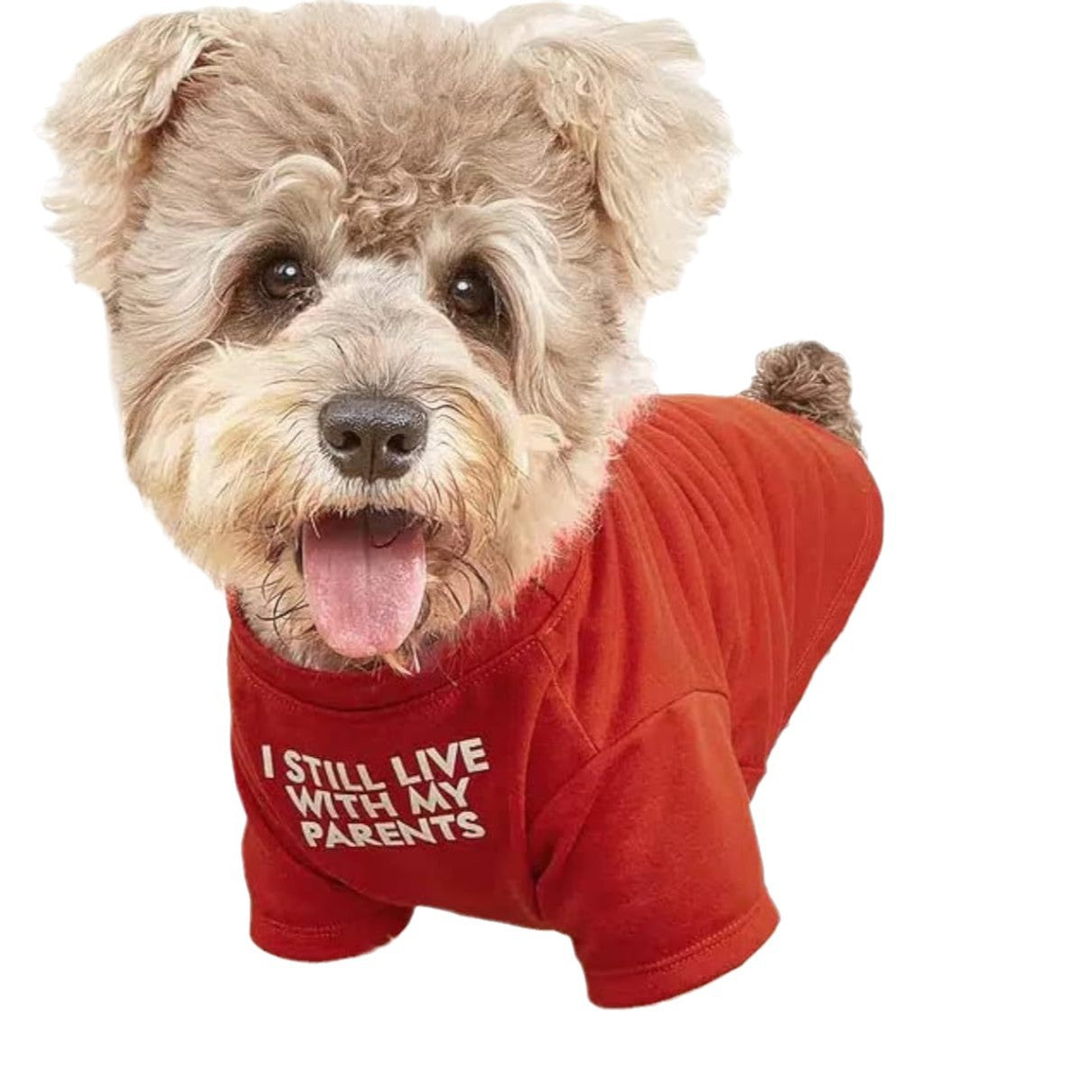 Classic Round Neck Pet T Shirt, Soft Cotton Tee for Dogs and Cats - Features and Details