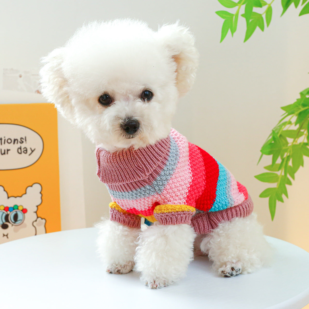 Colorful Striped Pet Sweater, Warm Knit Pullover for Dogs and Cats - Image 7 of 10
