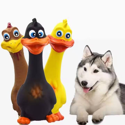 Squeaky Latex Chicken Dog Toys 3 Pack, Eco Friendly Interactive Chew - Main Product Image