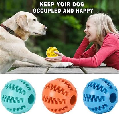 Interactive Dog Treat Ball, Chewing Toy for Small and Medium Dogs - Detailed View