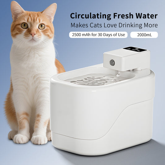 Smart Sensor Pet Water Fountain 2000ML, USB Charging, Ultra Quiet - Main Product Image